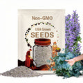 Eucalyptus silver dollar seed 25