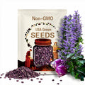 Purple Vienna Kohlrabi Seeds, Non-GMO, Heirloom, Gardening Seeds, Home Garden Vegetables, Sustainable Growth Heirloom Shipped With Tracking