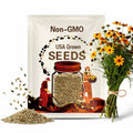 Plains Coreopsis Seeds|Texas Native Plants|Texas Native Wildflower Seed|Southwestern Wildflowers|Golden Tickseed|Goldenwave|Calliopsis|Aster
