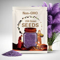 Purple Pampas Grass Seeds: Drought Tolerant Ornamental Grass
