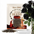 200 Black Rose Seeds | Rare Heirloom Non-GMO Variety | Easy to Grow, Perfect for Gardens, Bonsai & Unique Floral Displays.