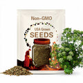 Anise Seeds | NON-GMO Heirloom Herb Seeds | Fresh Garden Seeds for Planting | Aromatic Anise for Cooking, Baking & Herbal Tea Gardens