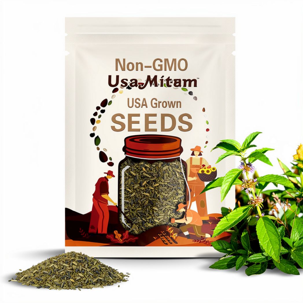 Wild Mint Seeds (Corn Mint) – Heirloom, Culinary and Herbal Remedies, Hardy and Fragrant Mint (Mentha arvensis) | 100 Seeds