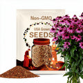 50 Bright Purple Coneflower Seeds | Echinacea Purpurea | Pollinator Flower | Drought-Tolerant Perennial | Non-GMO | Easy Wildflower