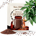 Jalapeno TAM Pepper Seeds 50+ Hot Vegetable Heirloom NON-GMO