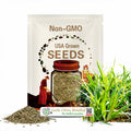 Organic Broadleaf Garlic Chives Seeds - Heirloom Perennial - Cut-and-Come-Again - Asian Herb - Non-GMO - 宽叶韭菜种子 - 多年生 | 100+ seeds
