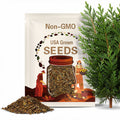 Kashmir Cypress Tree Seeds (CUPRESSUS DARJEELINGENSIS CASHMIRIANA)