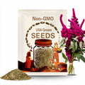 100 Organic ELEPHANT HEAD AMARANTHUS Amaranthus Gangeticus Burgundy Red Flower Seeds