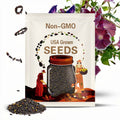 Morning glory  chocolate and Japanese pink Ipomoea Nil seeds 15