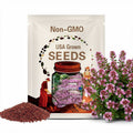 1000+ Creeping Thyme Ground cover Seeds*Thymus serpyllum*Breckland Thyme*Wild Thyme*Mother of Thyme*Deep Pink Groundcover*Fragrant Leaves*