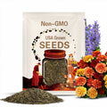 Marigold Strawberry Blonde Marigold USA Flower Seeds Heirloom NJ Grower see my store for largest selection