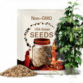 Heirloom Home Grown Organic Loofah Seeds Grown in Texas USA - Luffa Seeds Luffah Seeds