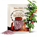 Cranberry Bean Seeds - Heirloom Seeds, Bush Bean, Shelling Bean, Open Pollinated, Untreated, Non-GMO