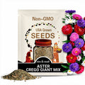 Aster, Crego Giant Mix | 50 Seeds | Heirloom Flower | Double Blooms | Easy to Grow | Callistephus chinensis
